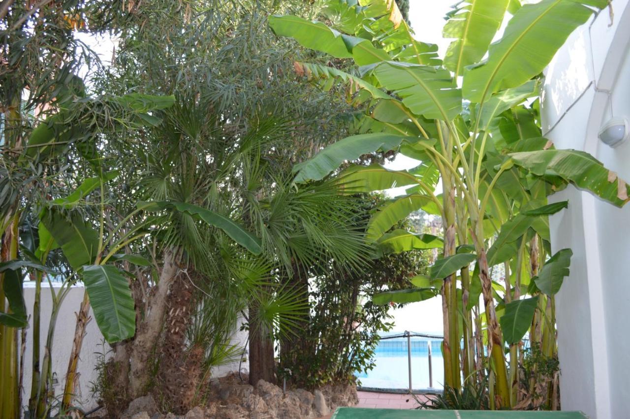 Il Kent Apartment Ischia Exterior photo